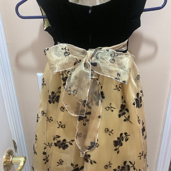 My Cotton Candy Formal Toddler size 4.  Beautiful dress with velvet top. - Picture 3 of 7